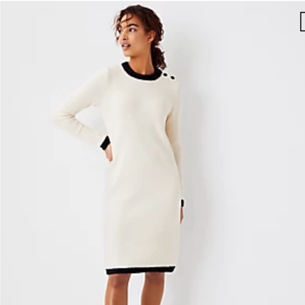 Ann Taylor Size Large Long Sleeve Knit Sweater Dress NWT